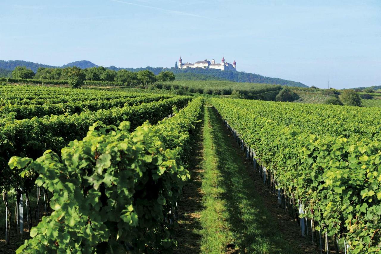 Hotel Landhaus Weinblick Rohrendorf bei Krems Esterno foto