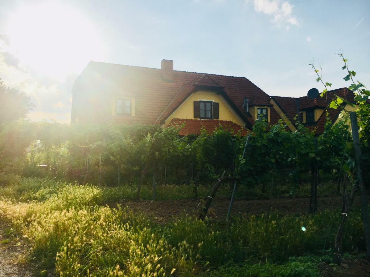 Landhaus Weinblick Rohrendorf bei Krems Esterno foto