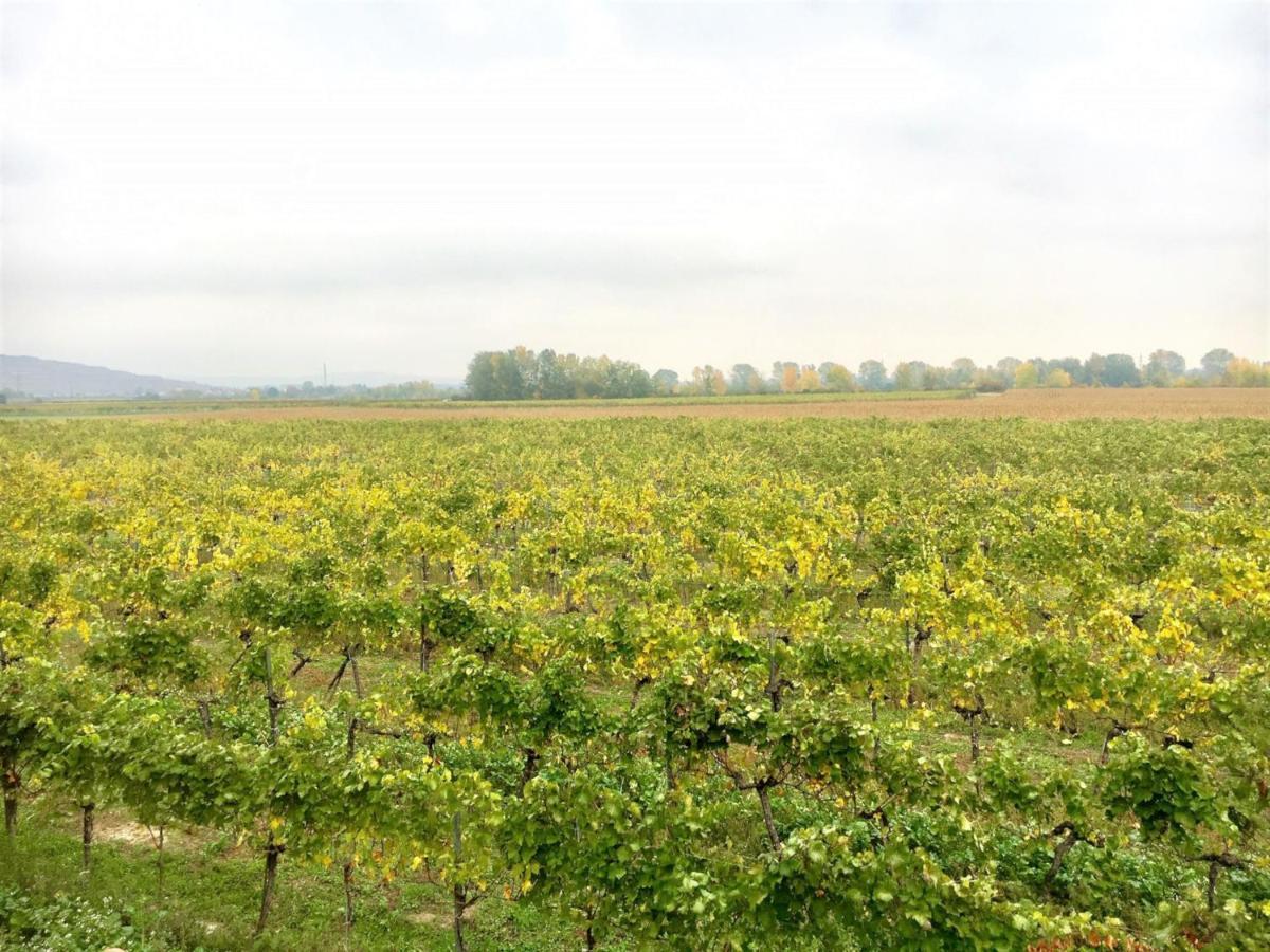 Landhaus Weinblick Rohrendorf bei Krems Esterno foto